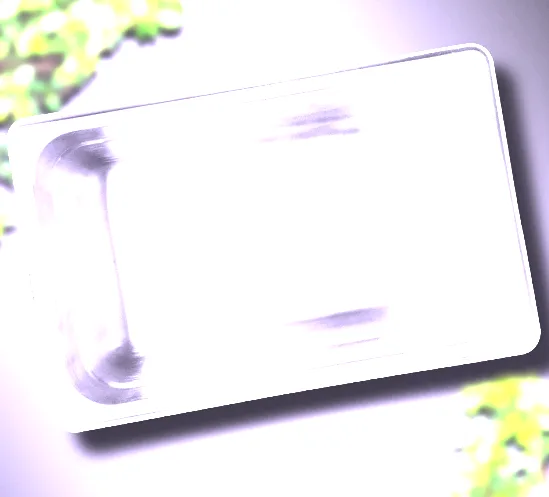 Stainless Steel Shallow Drawn Rectangular Pan