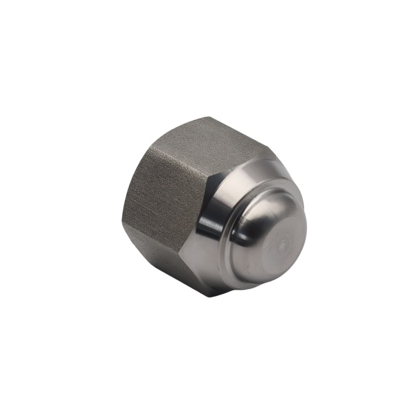 Stainless Steel CNC Machined Hex Dome Cap Nut